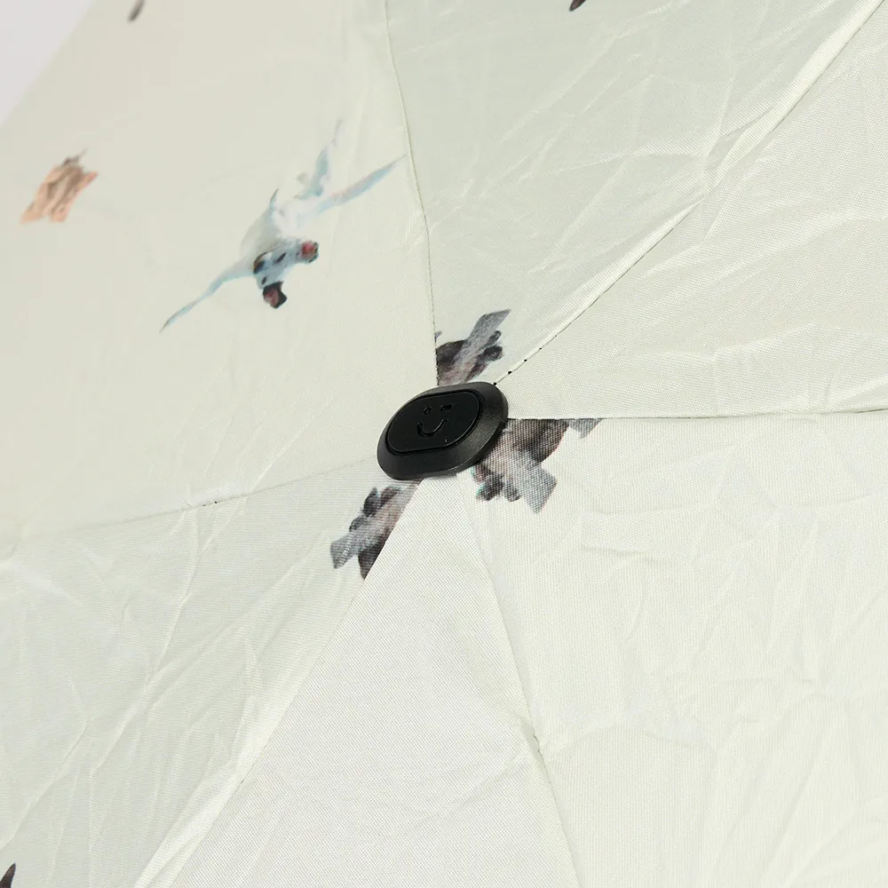folding umbrella, manual folding umbrella, five-fold folding umbrella, ultra-compact folding umbrella, lightweight travel folding umbrella, sun and rain folding umbrella