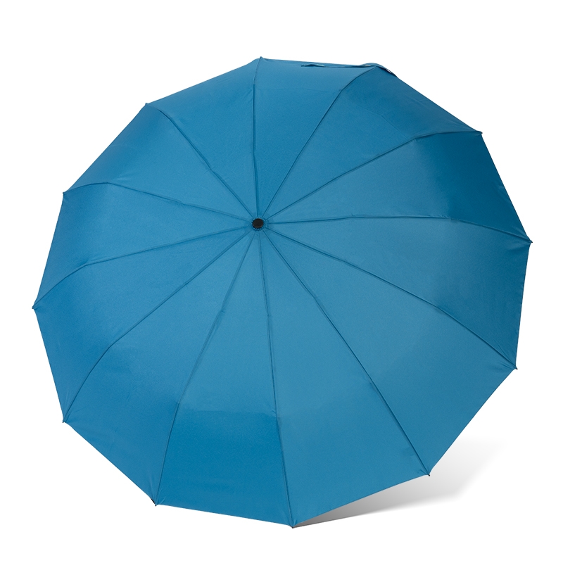 folding umbrella，folding umbrella with 12 ribs，automatic open and close umbrella
