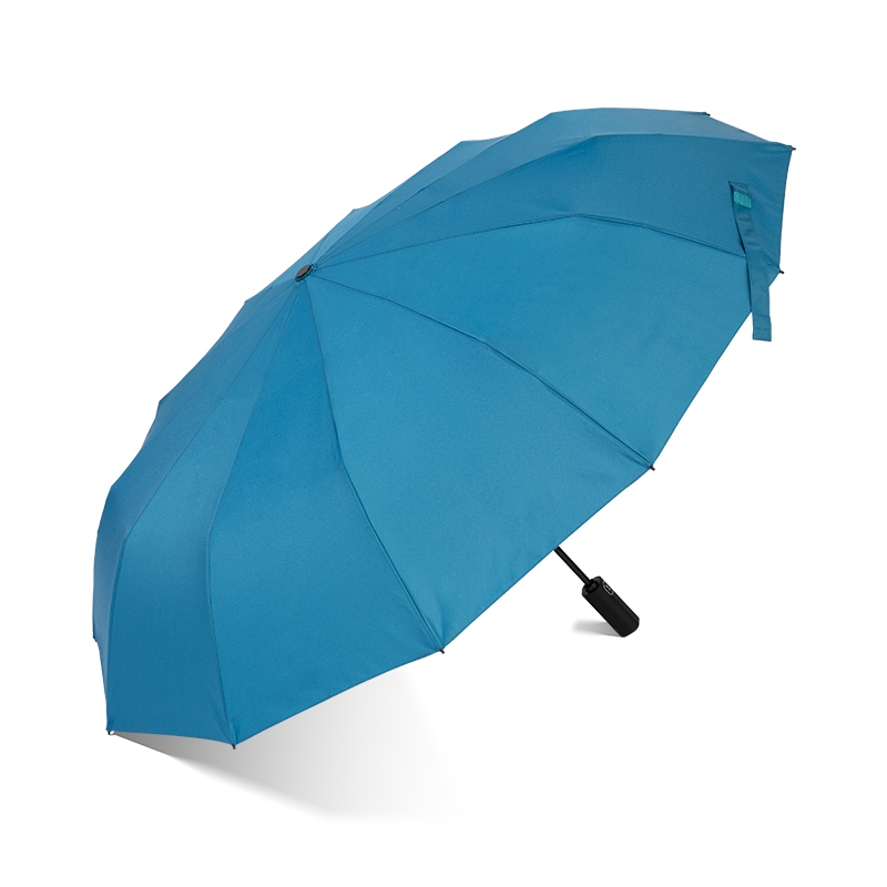 folding umbrella，folding umbrella with 12 ribs，automatic open and close umbrella